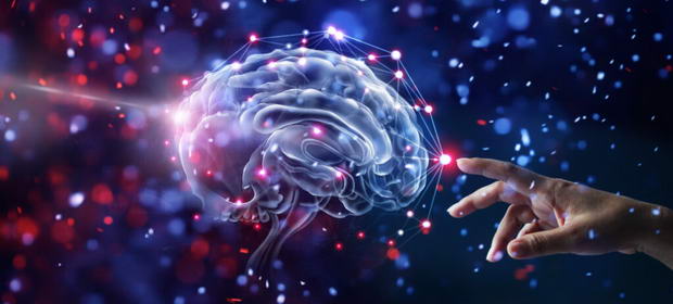 Cum ne antrenăm creierul? Exercițiile fizice, socializarea și pasiunile sunt cele mai importante